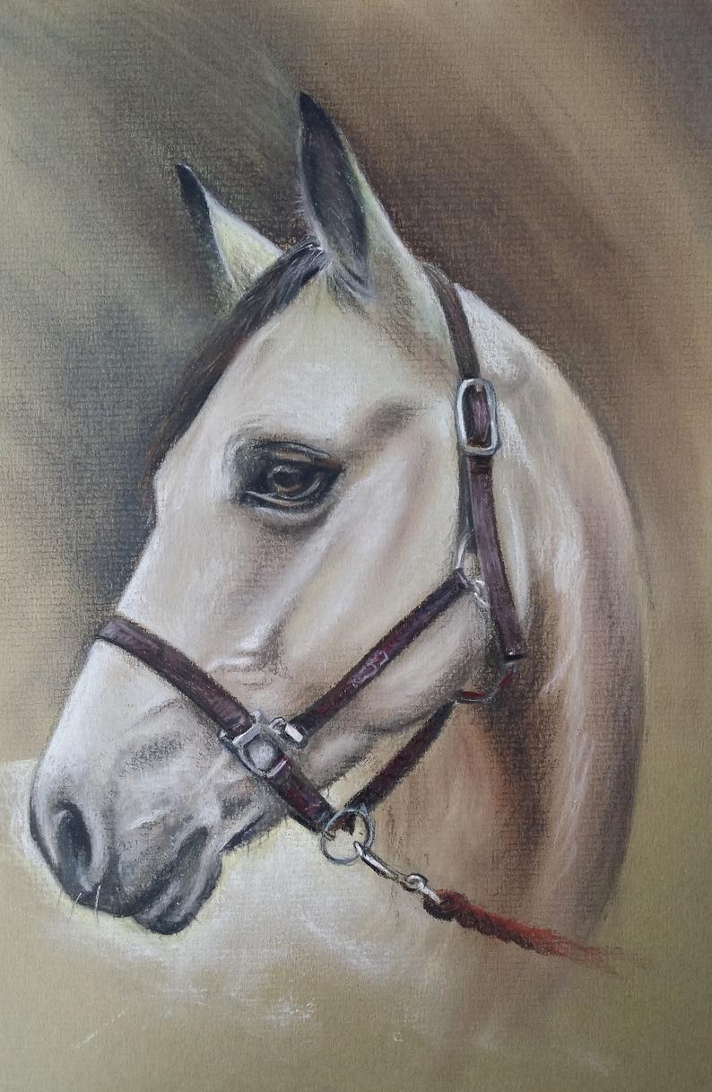 Custom horse portrait